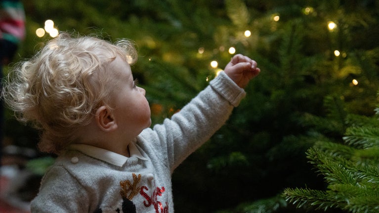 A young child with curly blond hair reaches towards warm white fairy lights among the branches of a Christmas tree. The child is wearing a light-coloured festive jumper, while soft glowing lights and evergreen foliage create a cosy, magical atmosphere in the background.